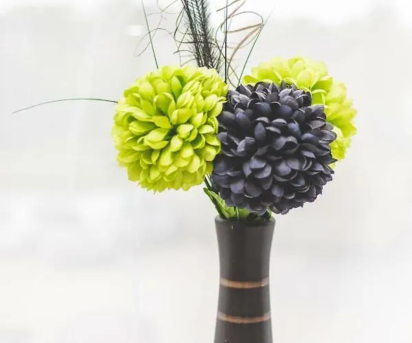 The Oakwheel 스카버러